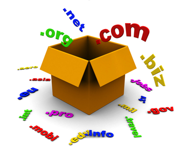 Domain Booking Services